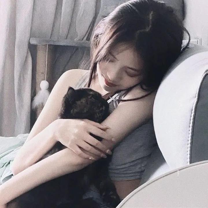 妙贼追凶